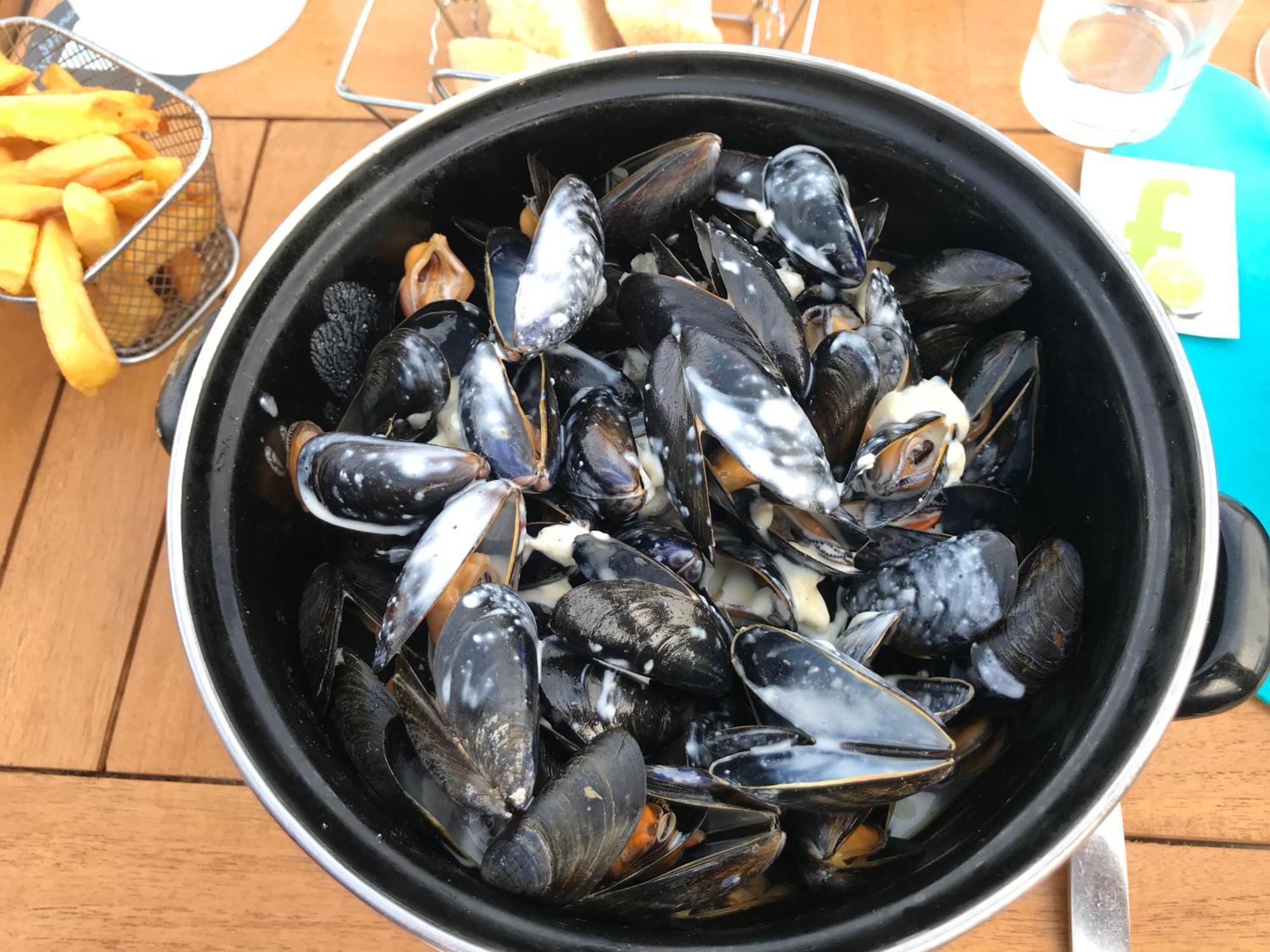 Bleu Sale - F2 Courseulles Avec Balcon Lägenhet Exteriör bild
